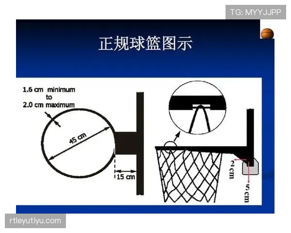 后场规则是什么?新手篮球裁判快速掌握判罚要点 后场规则是什么?新手篮球裁判快速掌握判罚要点